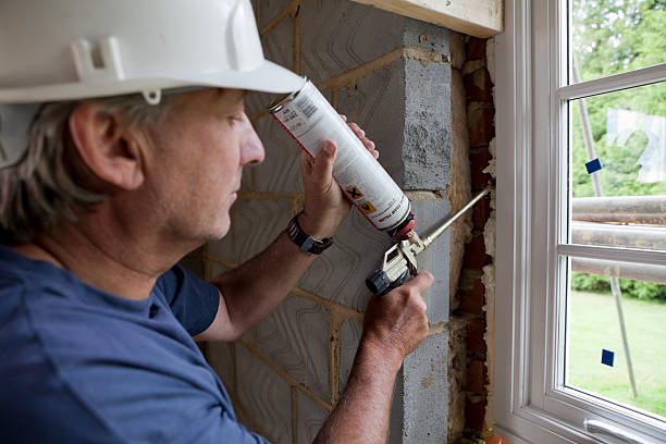 Best Insulation Maintenance and Repair in Bayou Gauche, LA